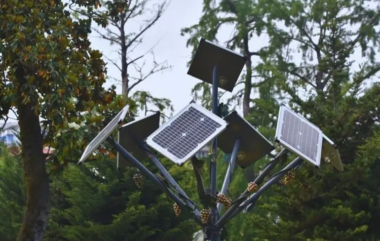 Solar Trees All To Know About, Do Solar Lights Work Under Trees