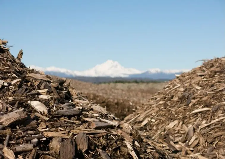 Biomass fuel, wood tatters