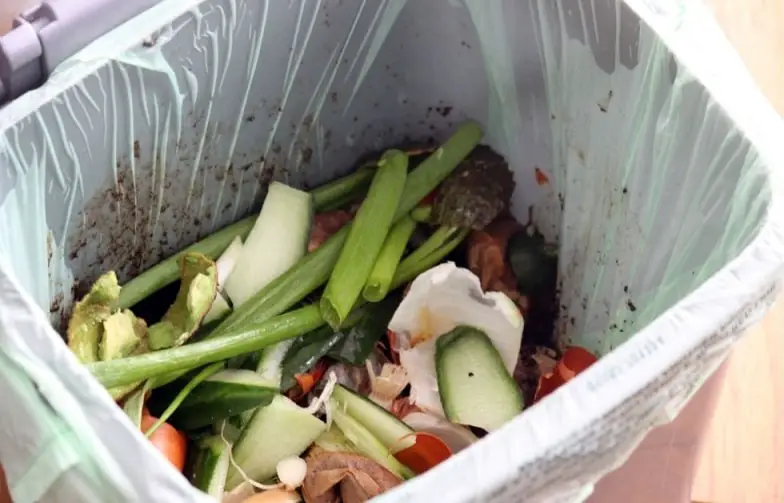 Food waste in bin